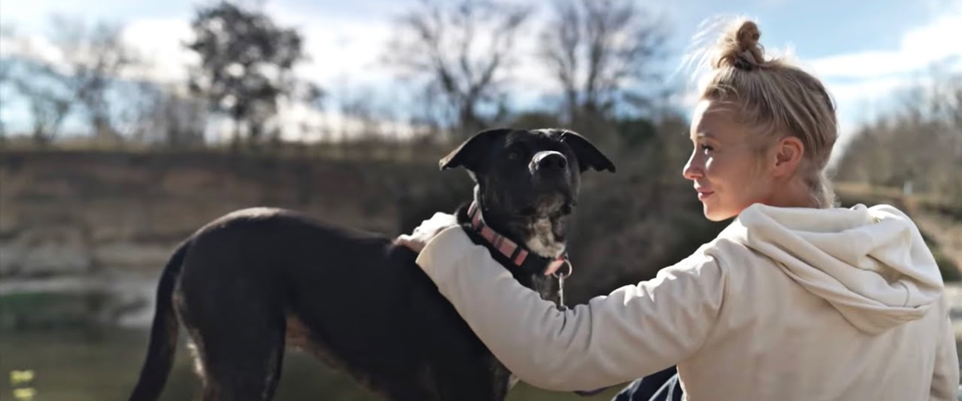The Government's Role in Animal Control and Pet Licensing in Travis County, TX: A Closer Look