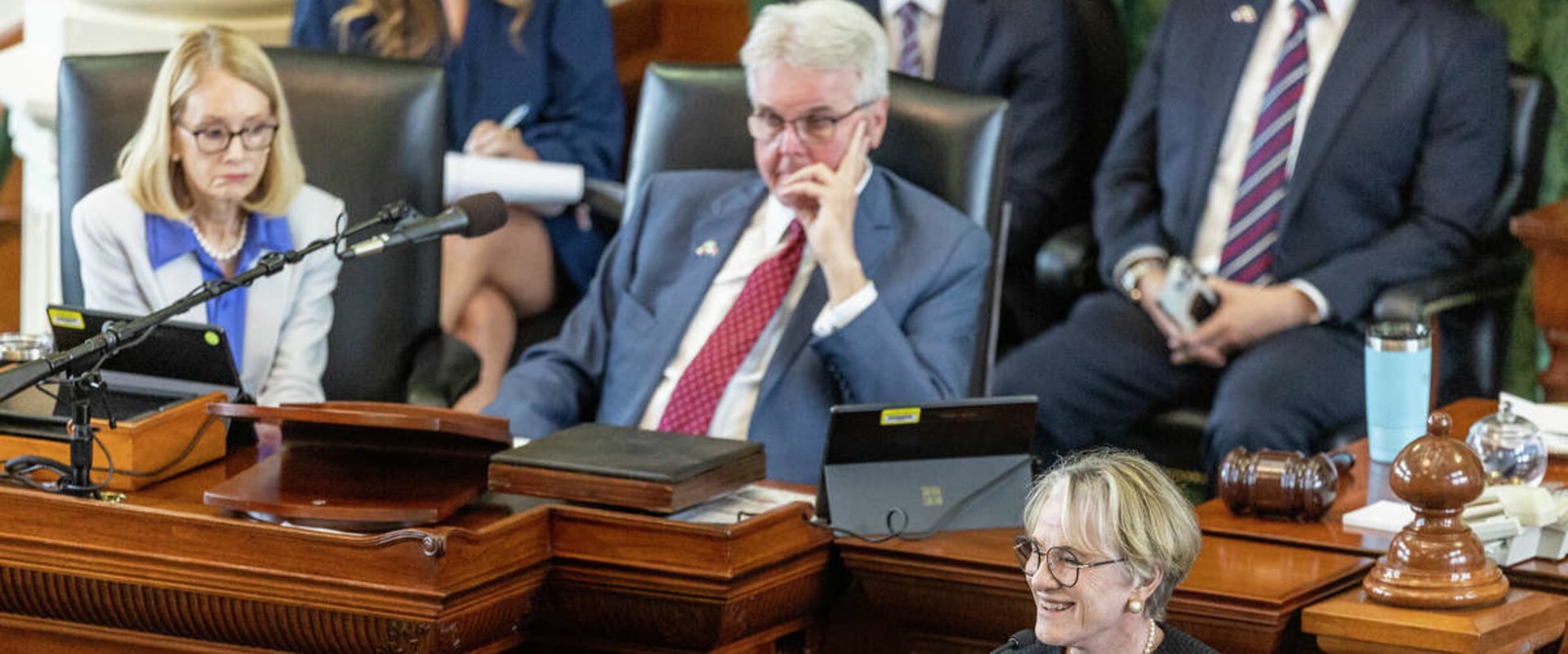 The Government's Role in Public Education in Travis County, TX