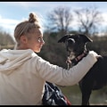 The Government's Role in Animal Control and Pet Licensing in Travis County, TX: A Closer Look