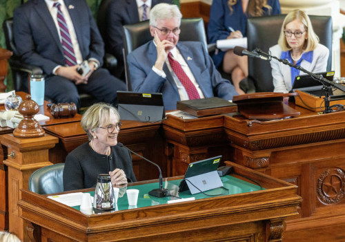 The Government's Role in Public Education in Travis County, TX